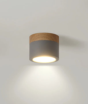 Plafonnier Spot Ceiling Lamp
