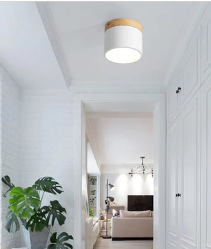 Nordic Cylindrical LED Ceiling Light S43