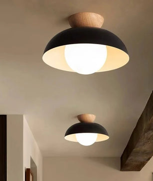 Minimalist Nordic Semi Ceiling Light S81