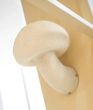 Mushroom Resin Wall Lamp
