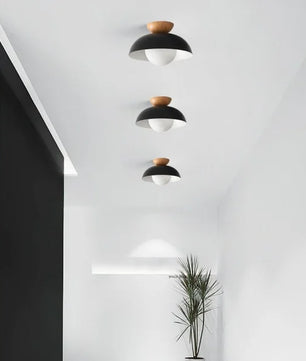 Minimalist Nordic Semi Ceiling Light S81