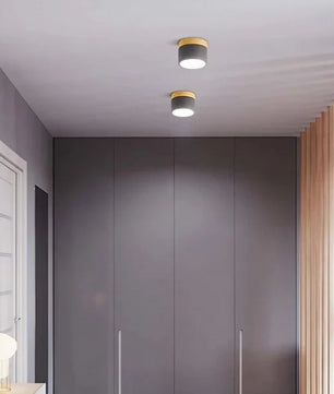 Nordic Cylindrical LED Ceiling Light S43