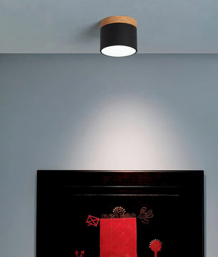 Plafonnier Spot Ceiling Lamp