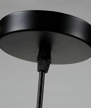 Creative Little Zoo Glass Pendant Light S91