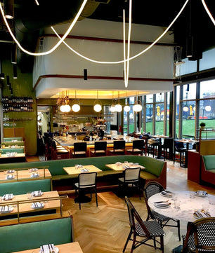 Flex LED Pendant Light