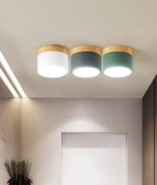 Nordic Cylindrical LED Ceiling Light S43