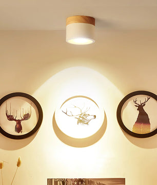 Plafonnier Spot Ceiling Lamp